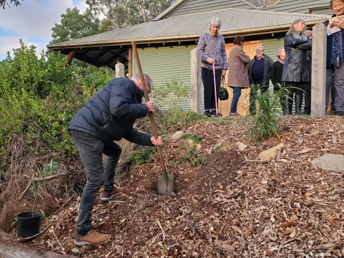 MemorialTreePlanting250514